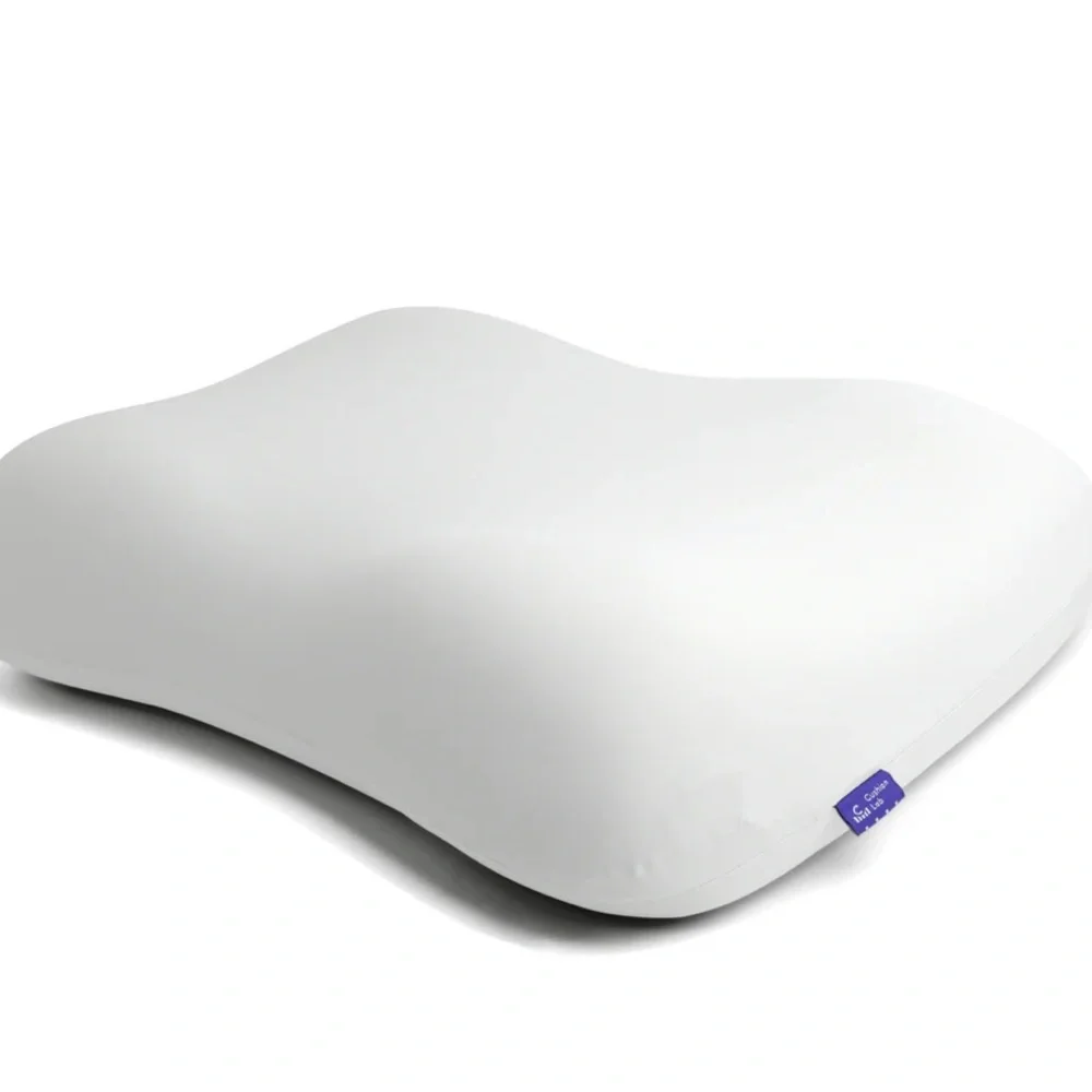 Cushion lab pillow